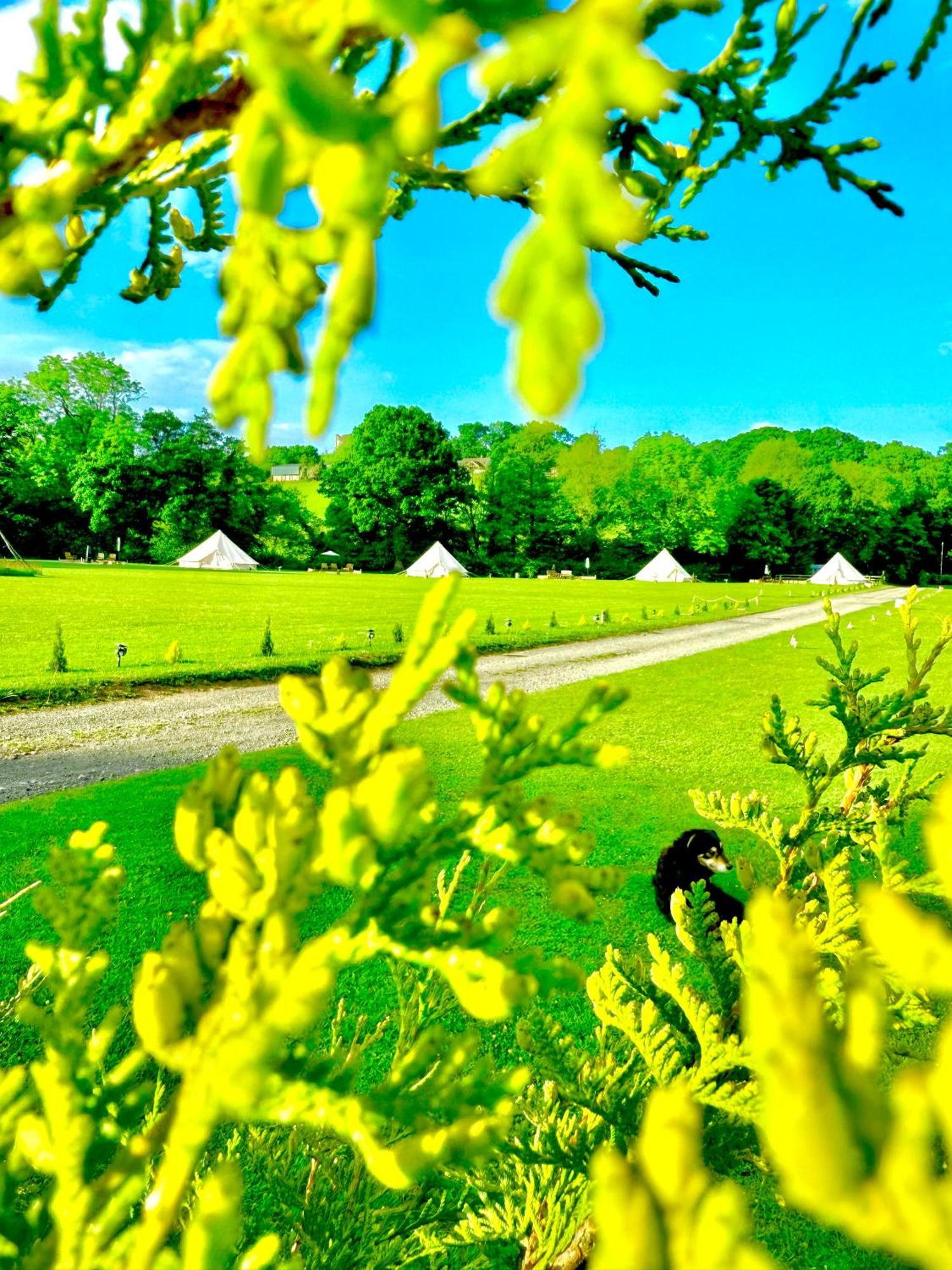 Cayoretreat Luxury Bell Tent Clodock Exteriör bild
